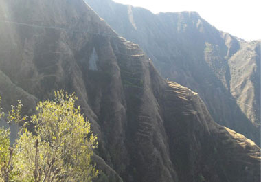 Image 01