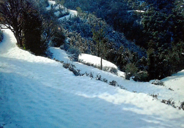 Image 01